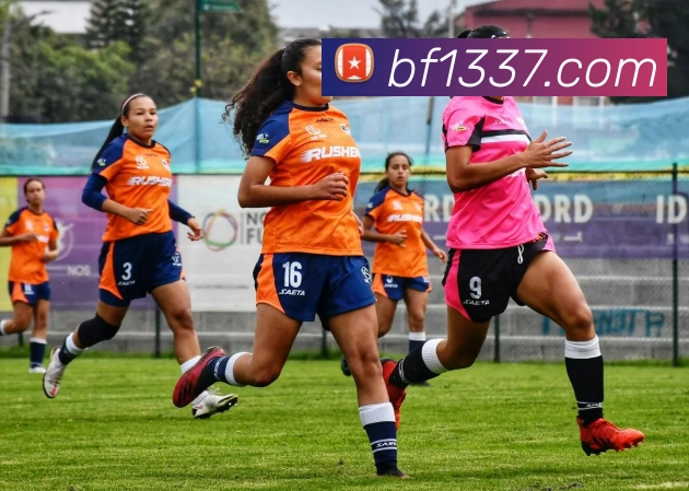 必发bifa服务体系